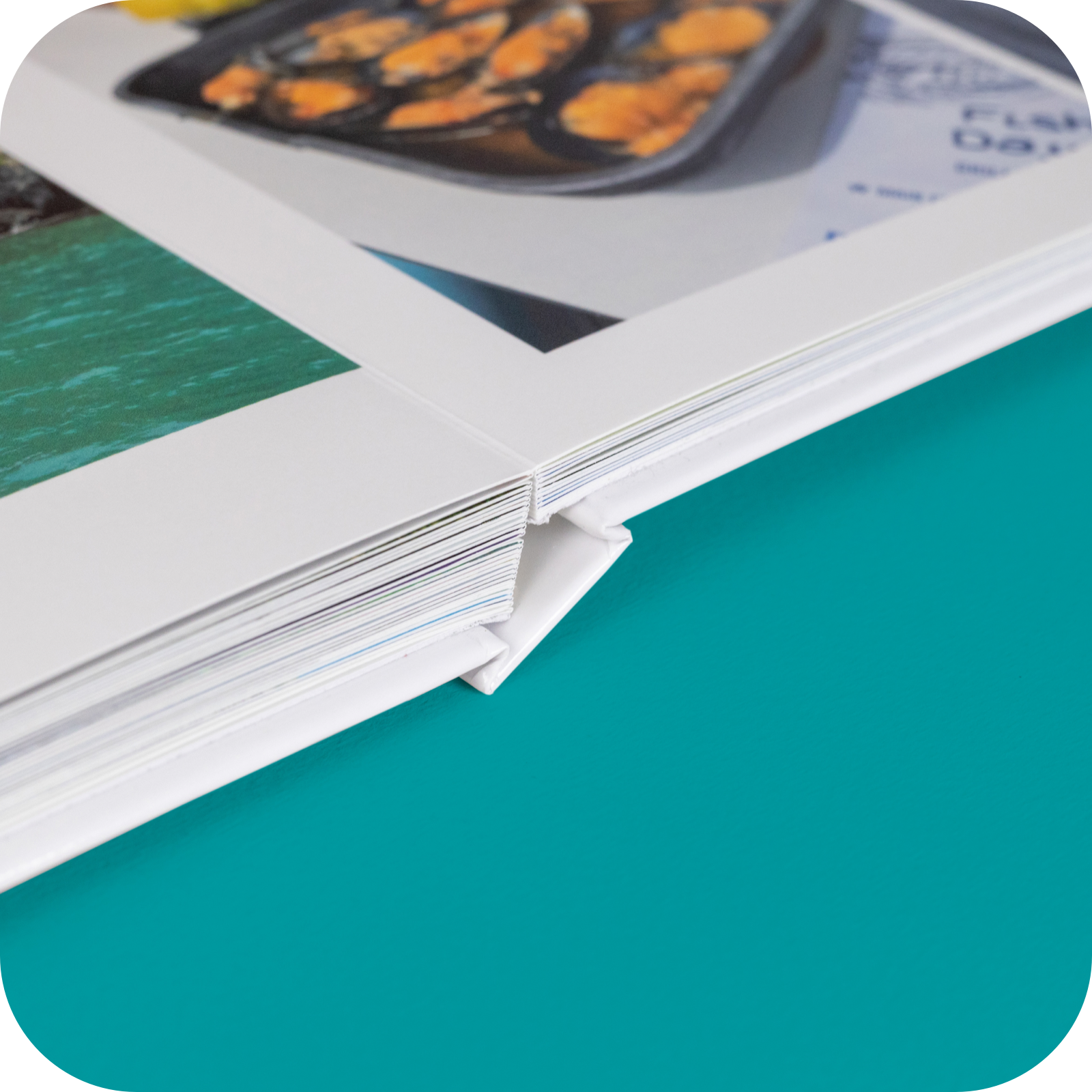 Hardcover_Copy.png