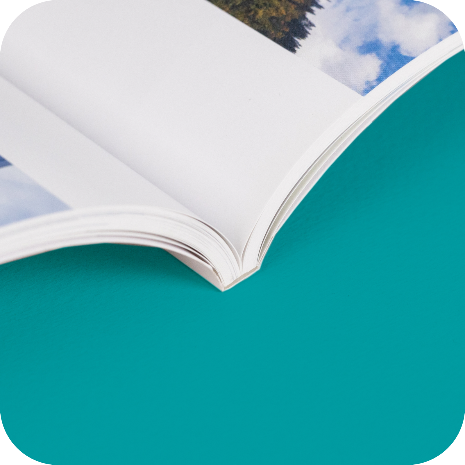 Hardcover_Copy.png